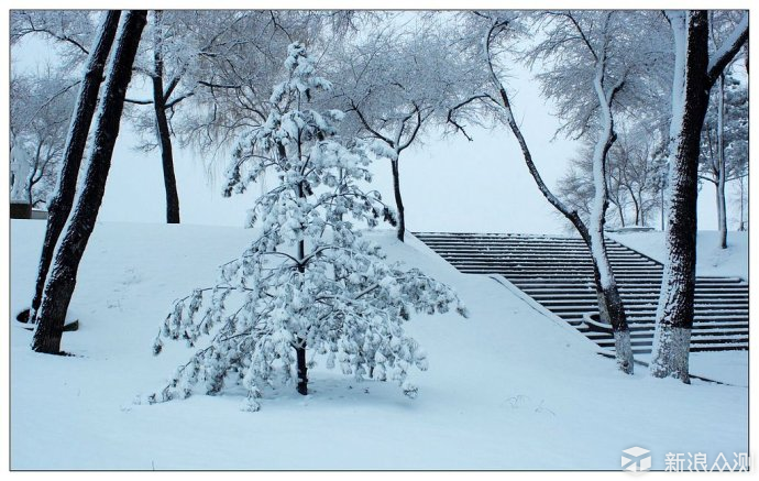 我想说今年的雪景就没有了，坐标唐山_新浪众测