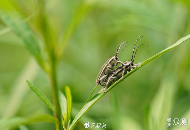 扫街，就你了！腾龙28-75/2.8深度体验_新浪众测