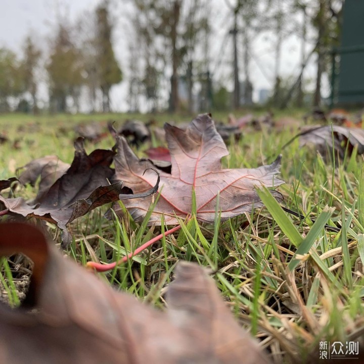 三年后再次邂逅苹果-iPhone XR深度体验 _新浪众测