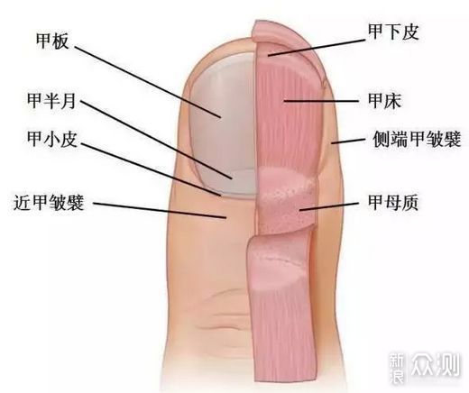 99%跑者已经领取的“荣誉”，劝你最好别要！_新浪众测