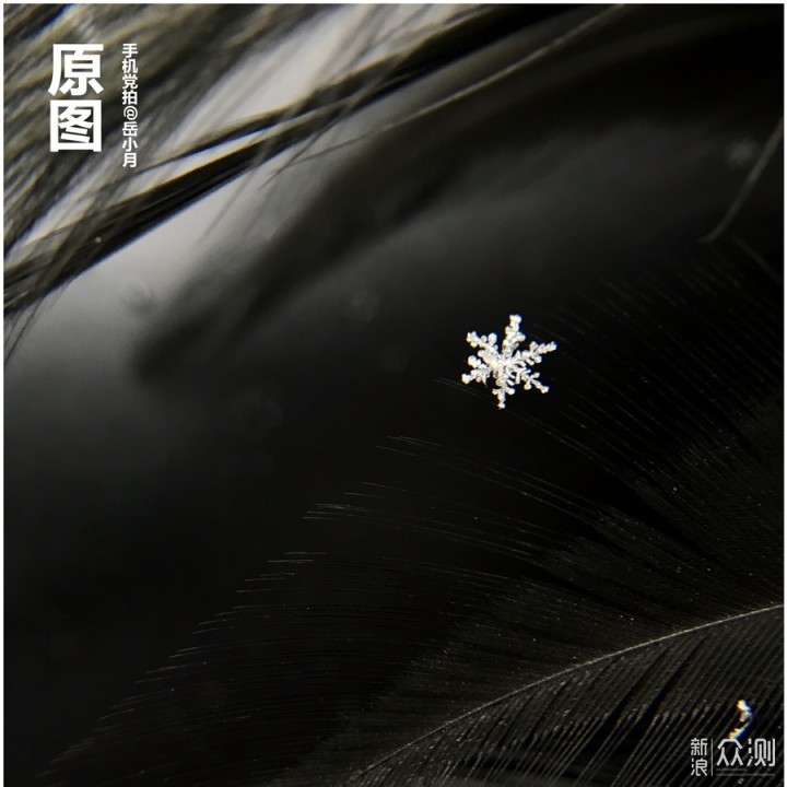 下雪天，手机拍美“2毫米”雪花｜把握4句口诀_新浪众测