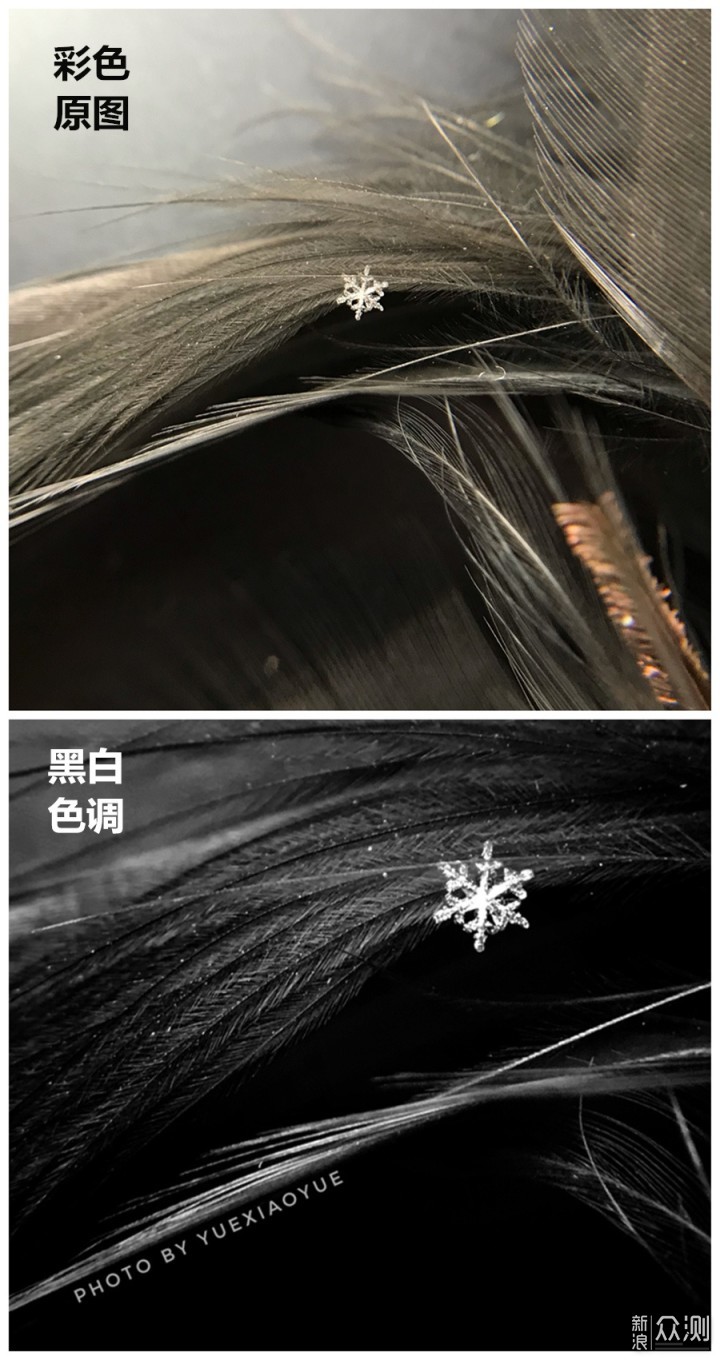 下雪天，手机拍美“2毫米”雪花｜把握4句口诀_新浪众测