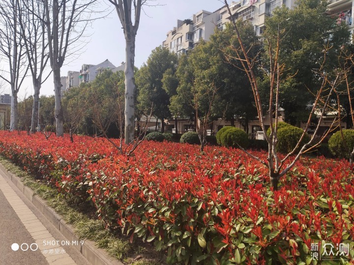 一封来自米粉的解读报告，小米9深度体验之旅_新浪众测