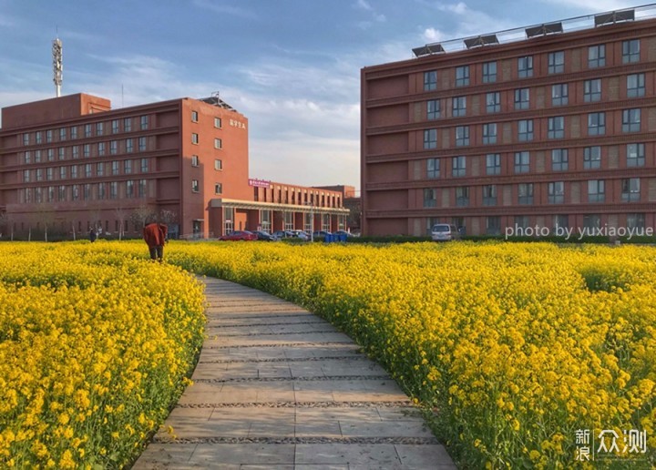 手机如何拍美“油菜花海”？3招拍出层次空间_新浪众测