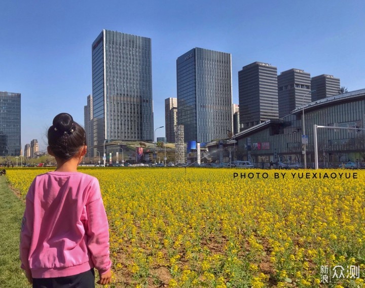 手机如何拍美“油菜花海”？3招拍出层次空间_新浪众测