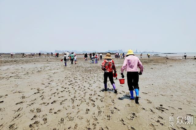 两天一夜厦门之旅，这次不去人潮拥挤的鼓浪屿_新浪众测