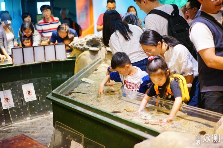 台湾到此一游：8天7夜环绕台湾_新浪众测