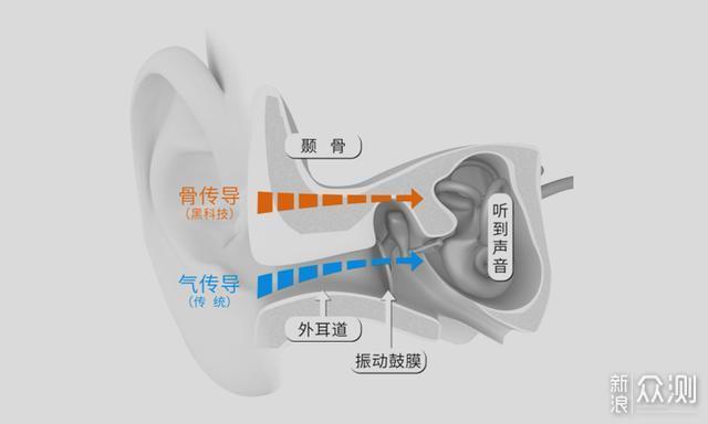 一文看懂骨传导和传统入耳谁更适合运动耳机？_新浪众测