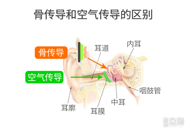 浑身黑科技！——韶音AEROPEX AS800试用报告_新浪众测