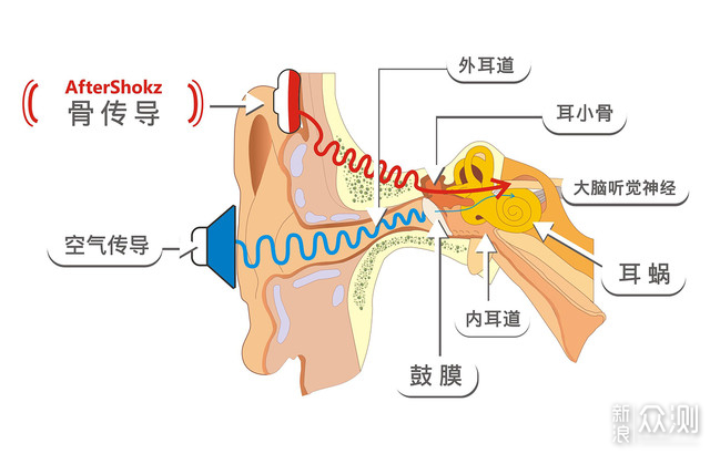 怎么玩转骨传导耳机—韶音 AS800 Aeropex体验_新浪众测