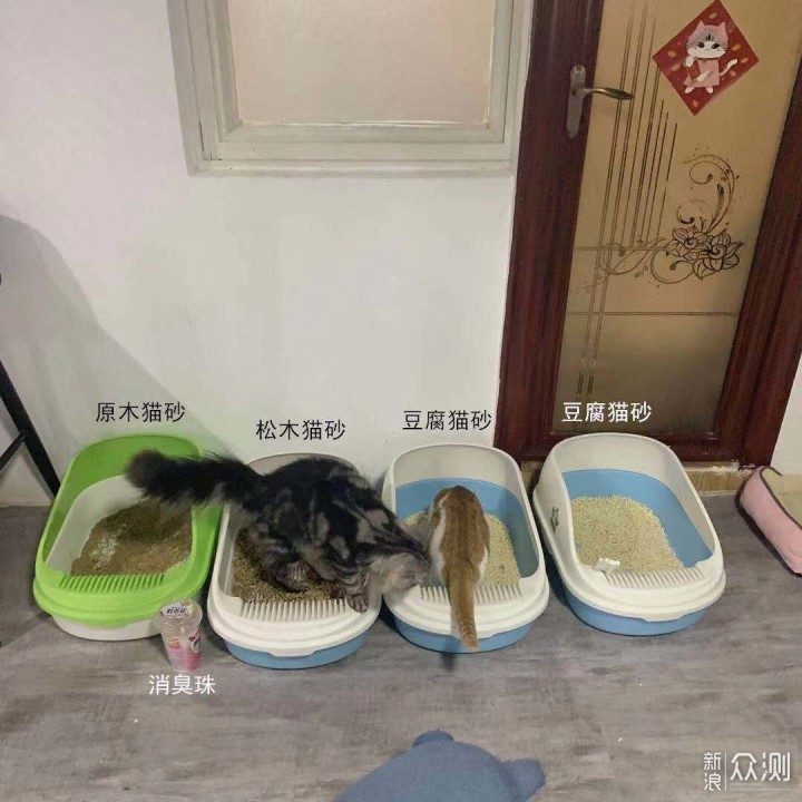 猫砂选购指南丨6类猫砂优缺点详解_新浪众测