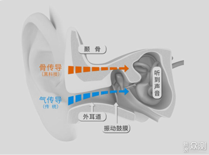 运动听歌，只要一副“耳机”就够了_新浪众测