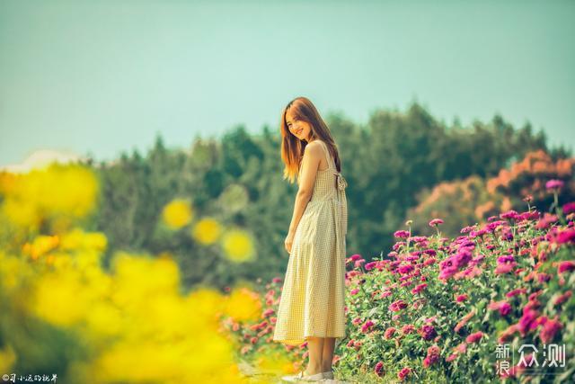 在江苏宿迁，有这么一片花海美的不动声色_新浪众测