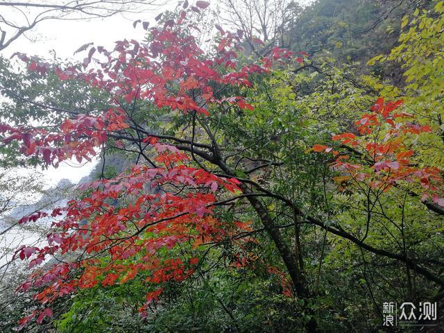 “喜提”被关门--黄山山地马拉松被关门记_新浪众测