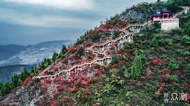 巫山红叶红了,是时候行动起来了_新浪众测