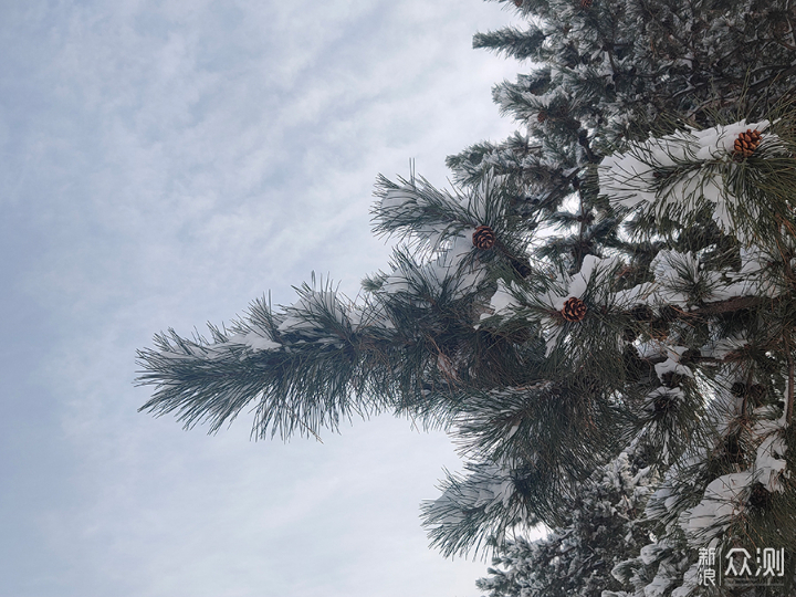 爱上北京的初雪，坐着火车追延庆瑞雪_新浪众测