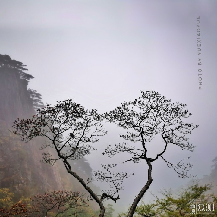 跟着古人学“摄影”｜教你手机拍“诗情画意”_新浪众测