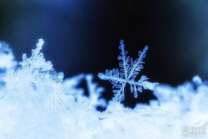 微距下晶莹剔透的雪花,快来学学怎么拍