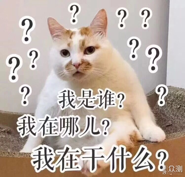 我要干什么?我不禁陷入了沉思