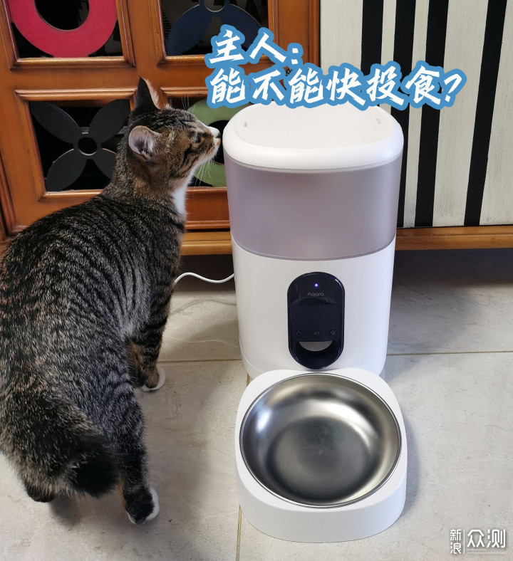 疫情时代喂食帮手aqara智能宠物喂食器c1