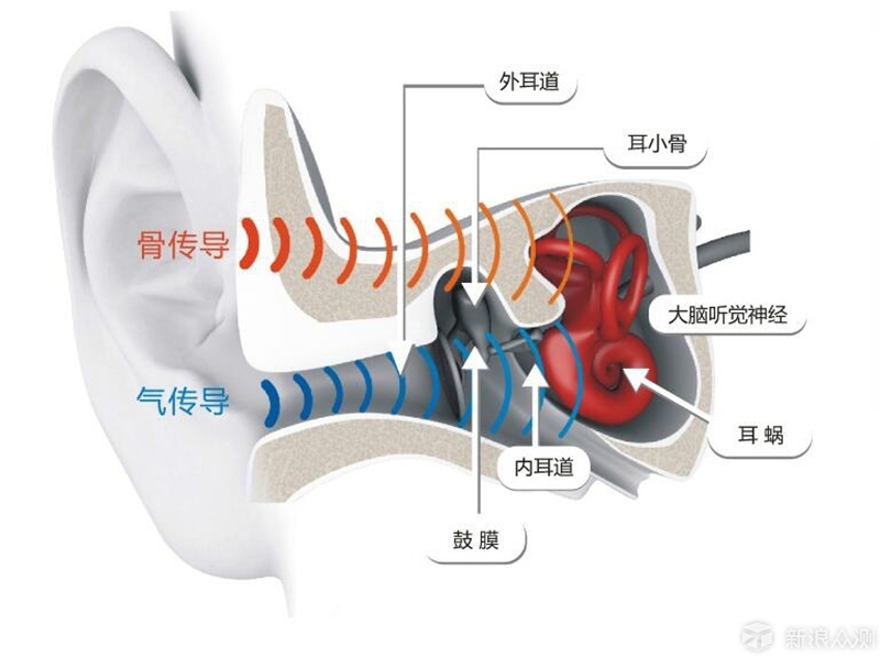 新浪众测,众测,消费众测,试用,免费试用,测评,评测,报告,任务,分享,生活理念