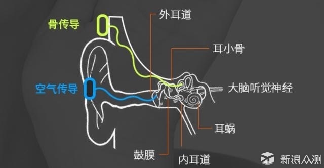 新浪众测,众测,消费众测,试用,免费试用,测评,评测,报告,任务,分享,生活理念