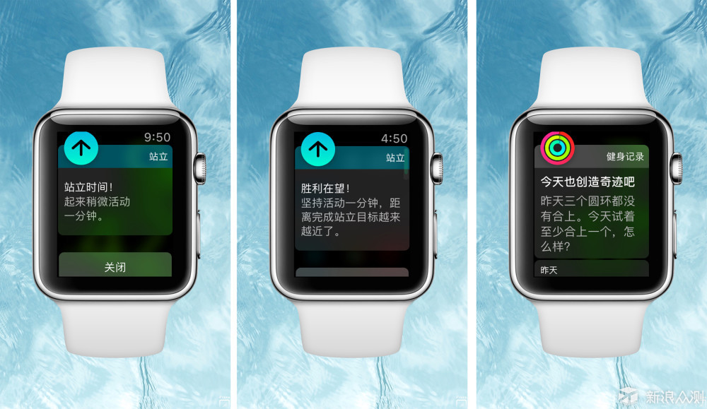 深度体验Apple Watch Series 3，功能提升明显_新浪众测