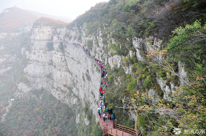 十月“家门口”的红叶之旅_新浪众测