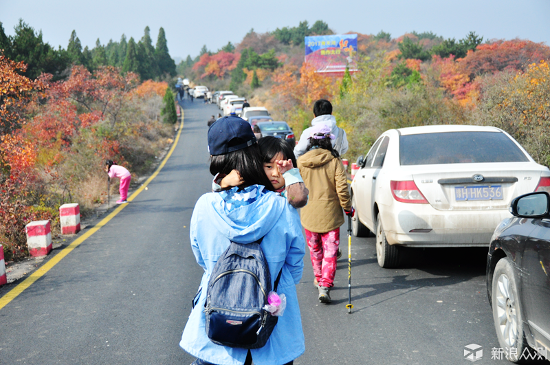 十月“家门口”的红叶之旅_新浪众测