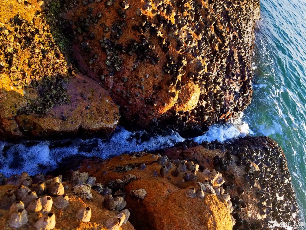 遇见珠海，有蓝天白云和大海的地方_新浪众测