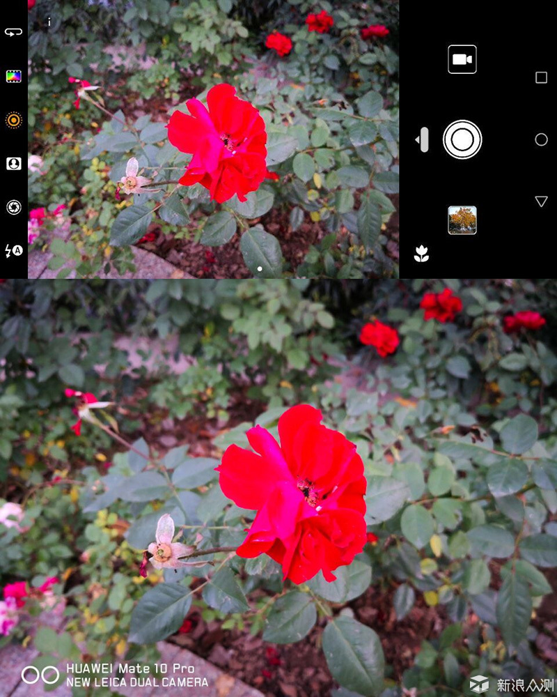 HUAWEI Mate 10 Pro——实拍拍照效果媲美单反_新浪众测