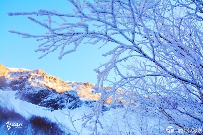 这个冬天，我们在吉林聆听雪花飘落的声音_新浪众测