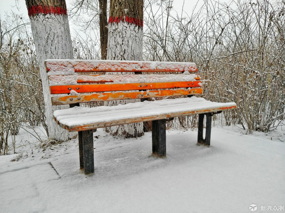 2018原州第一场雪，我用坚果Pro2记录古雁雪景_新浪众测