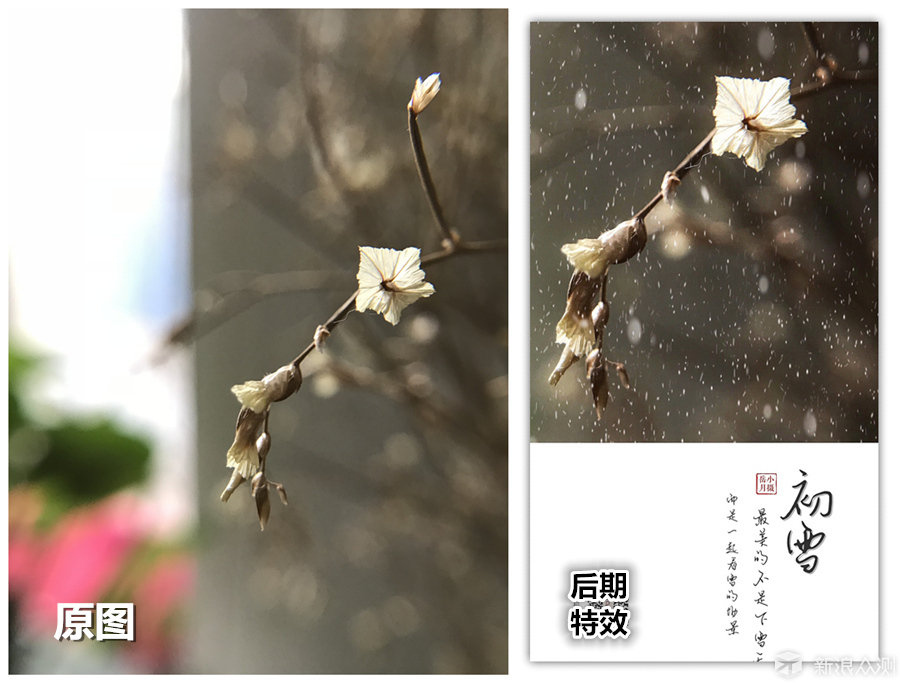 那一场“风花雪叶”原来都是“一键升成”！_新浪众测