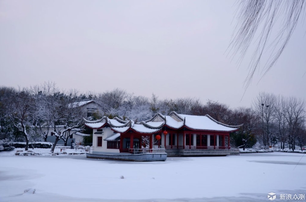 2018年的第一场雪  比以往时候来的更晚一些_新浪众测