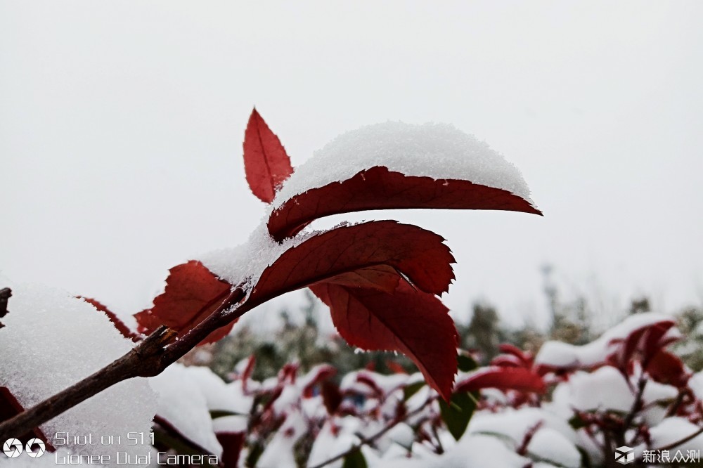 2018的第一场雪_新浪众测