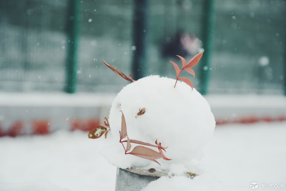 下雪了_新浪众测