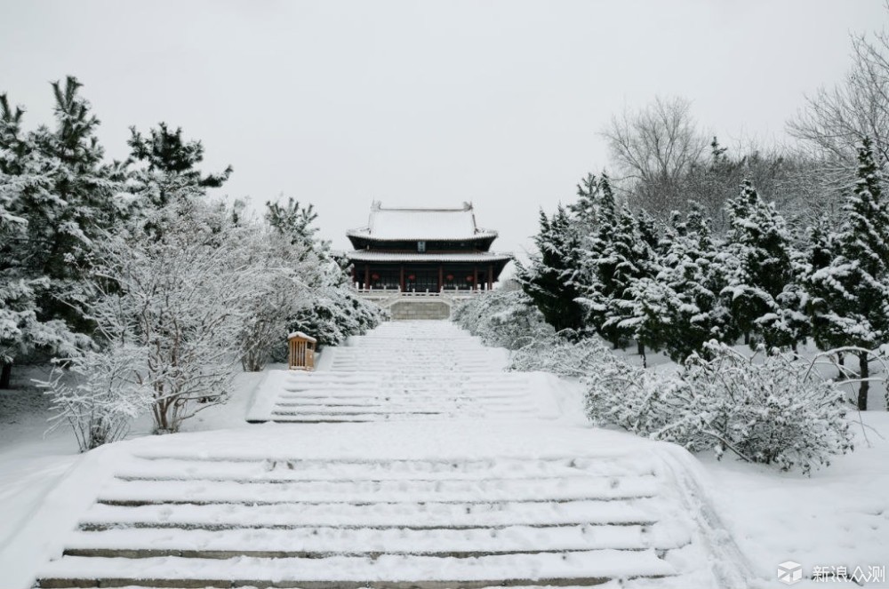 2018年的第一场雪  比以往时候来的更晚一些_新浪众测