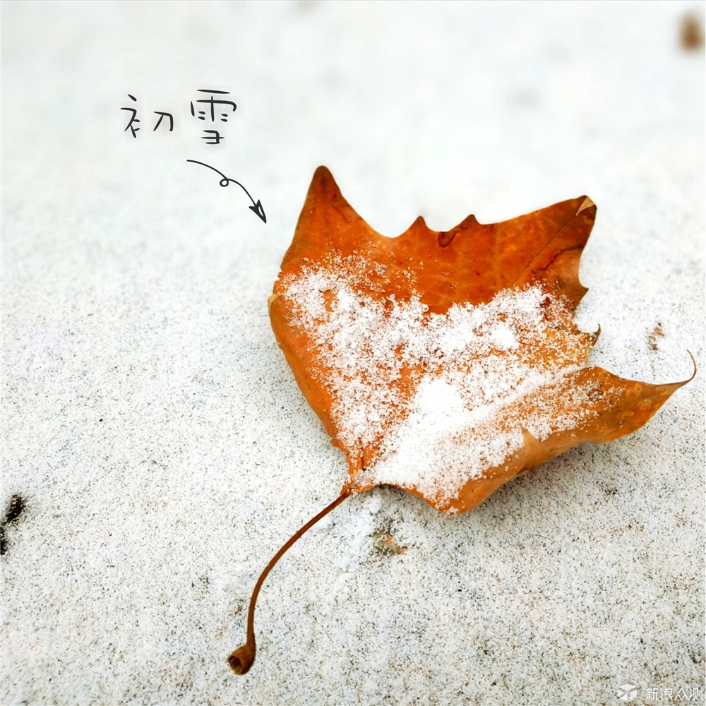 【手机摄影】校园初雪+技巧分享_新浪众测