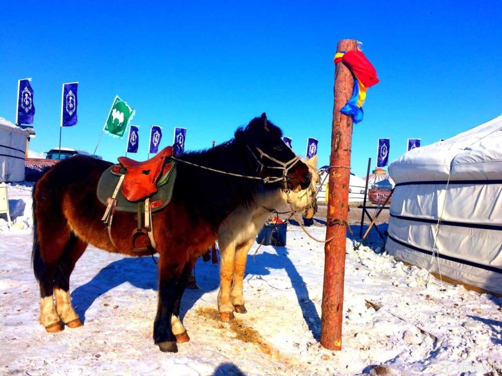 徒步走在“零下35度”的冰天雪地｜啥感觉？_新浪众测