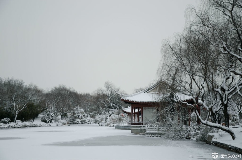 2018年的第一场雪  比以往时候来的更晚一些_新浪众测