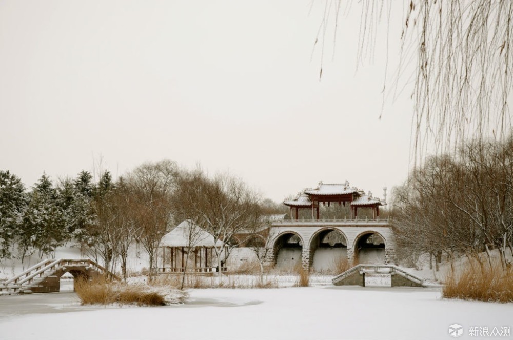 2018年的第一场雪  比以往时候来的更晚一些_新浪众测