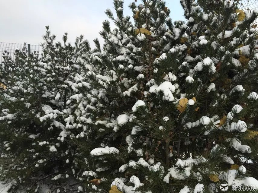 2015年那场雪，忘不掉的学生和笑容！_新浪众测