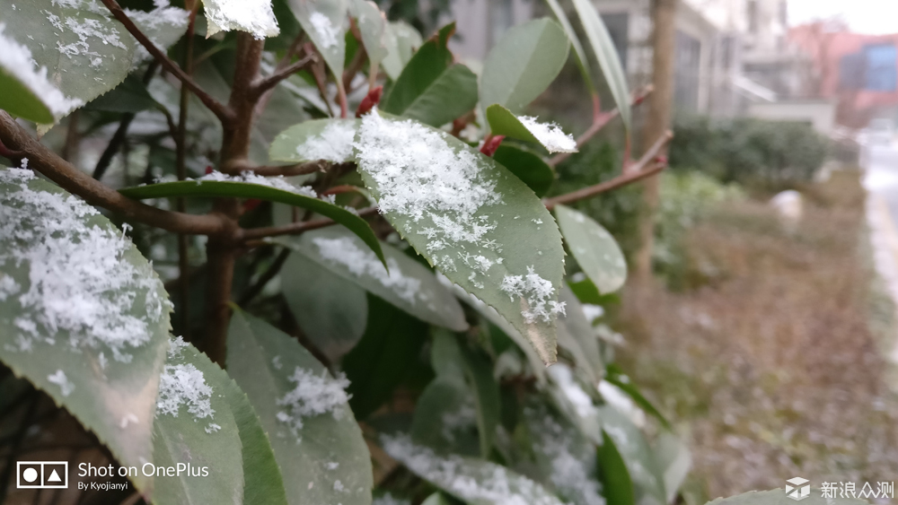 雪花飞舞寒风吹，以及孩子脸上的欣喜_新浪众测