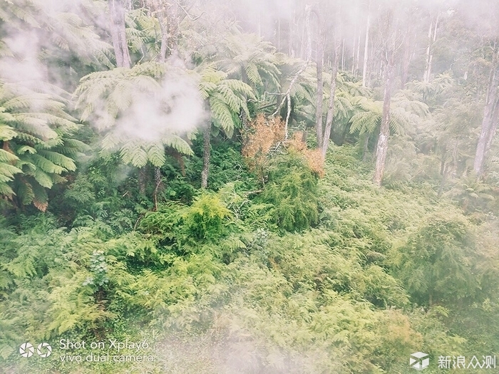 旅行，一部手机就够了！_新浪众测