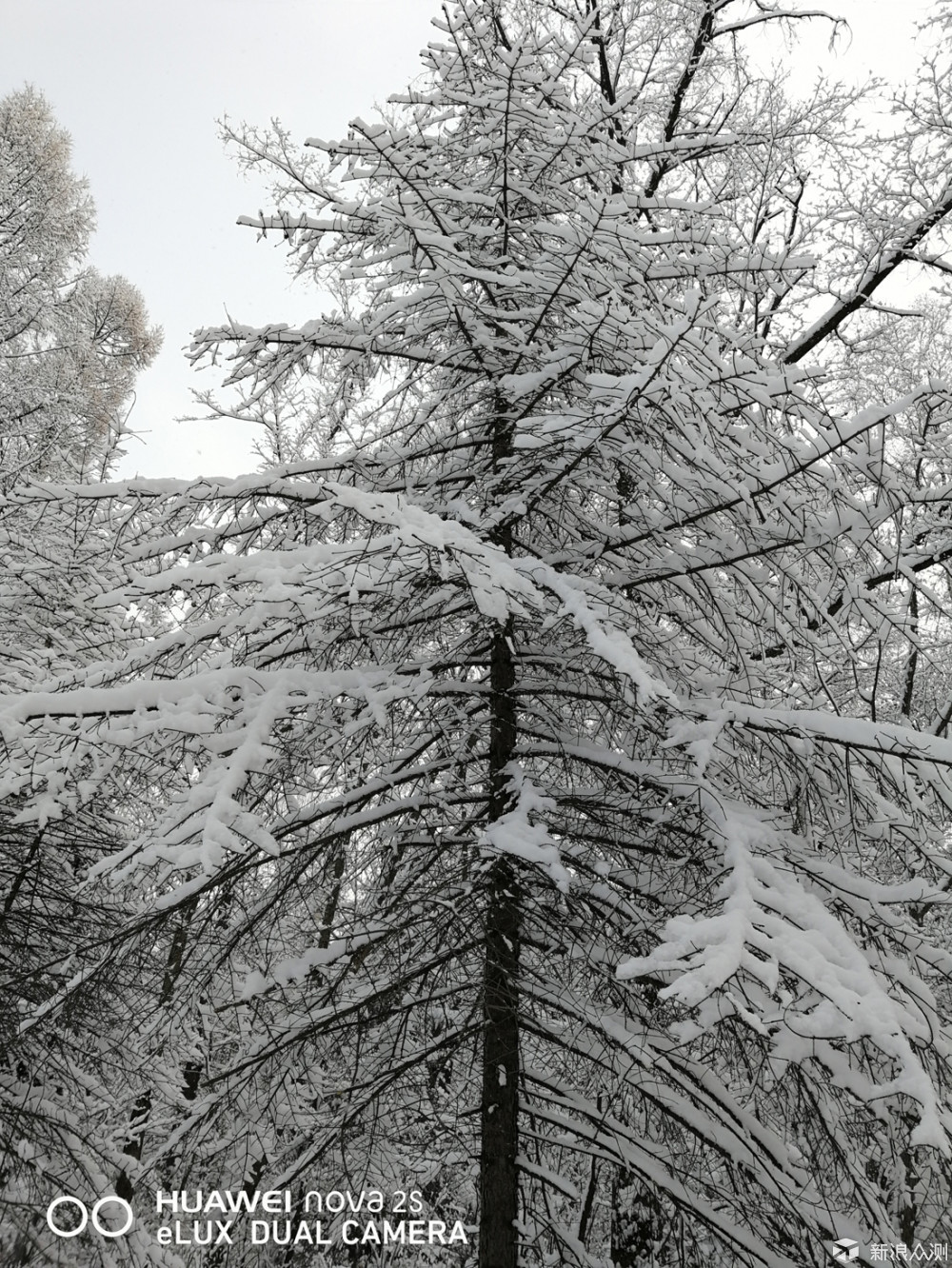 零下20度的旅程，感受东北的雪景！_新浪众测