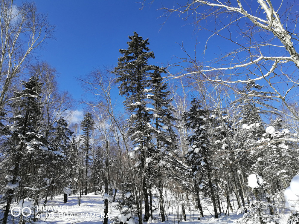 零下20度的旅程，感受东北的雪景！_新浪众测