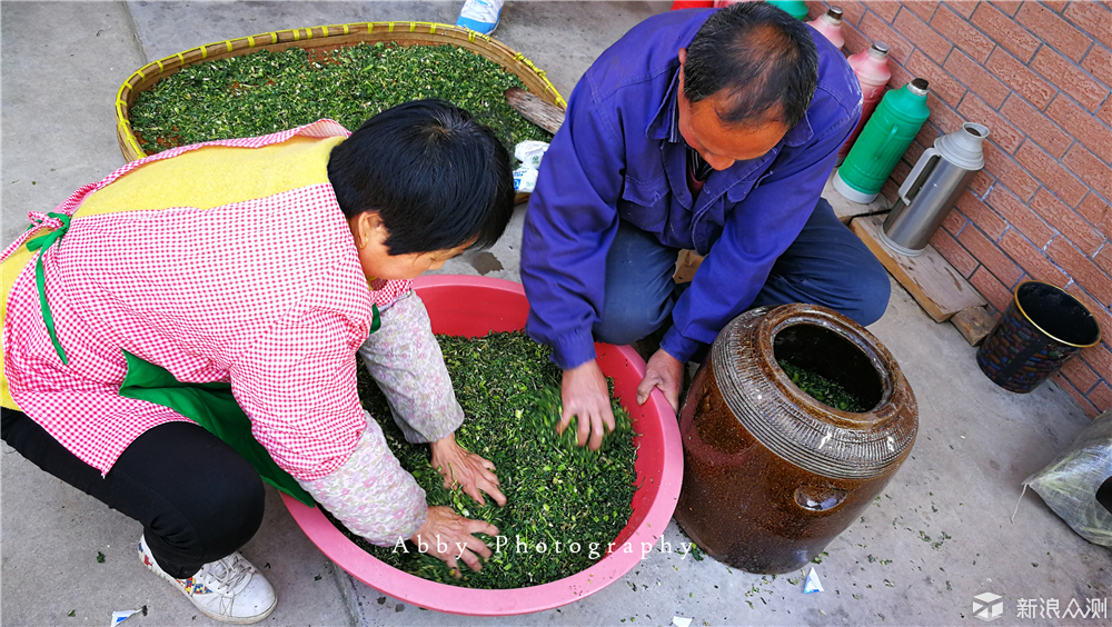 #春节有奖征稿#一叶茶醒江南，太华春早茶旅_新浪众测