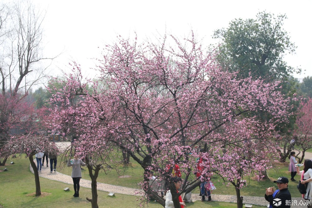 广东人在湖南，长沙和凤凰古城三天之旅_新浪众测