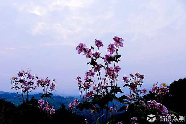 #不负春光#两人、两天探路山西猫路-英姑峡_新浪众测